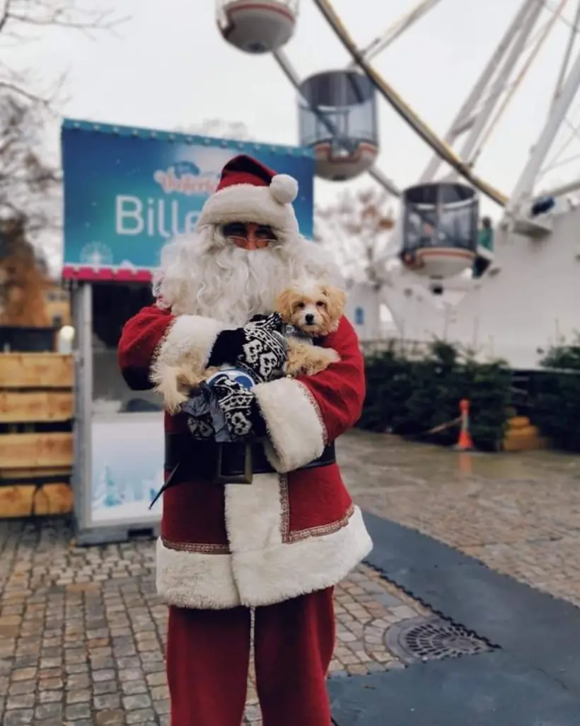 Christmas & winter