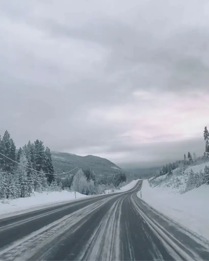 Christmas & winter