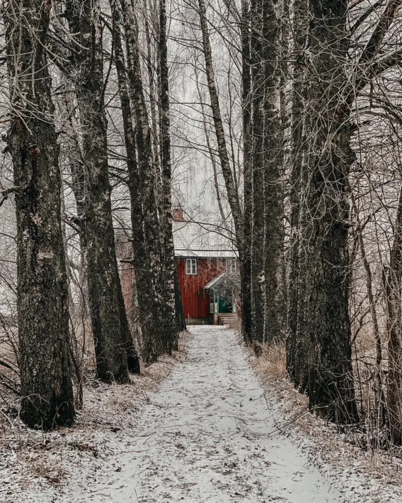 Christmas & winter