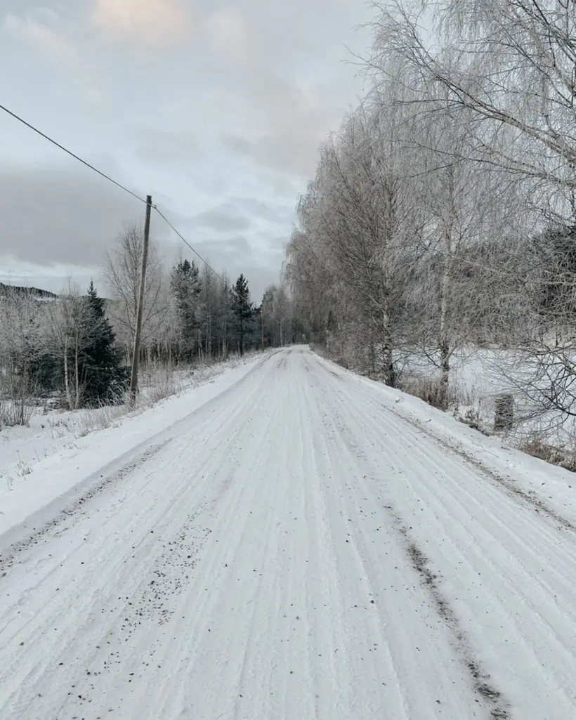 Christmas & winter