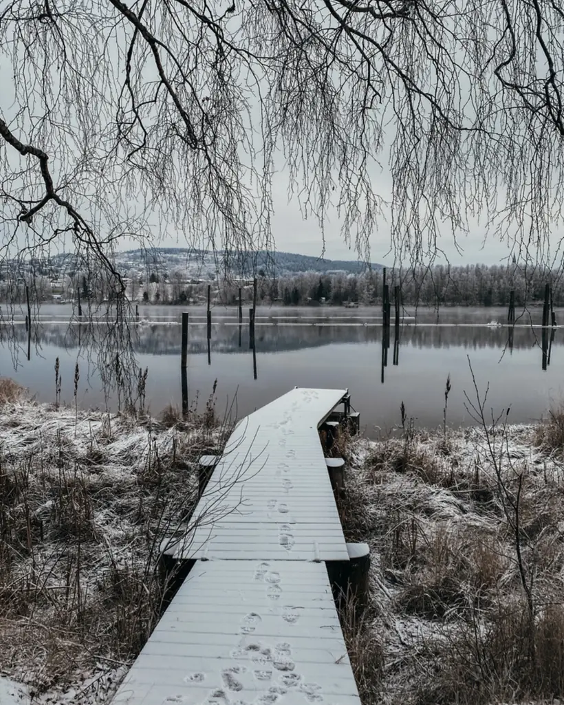 Christmas & winter