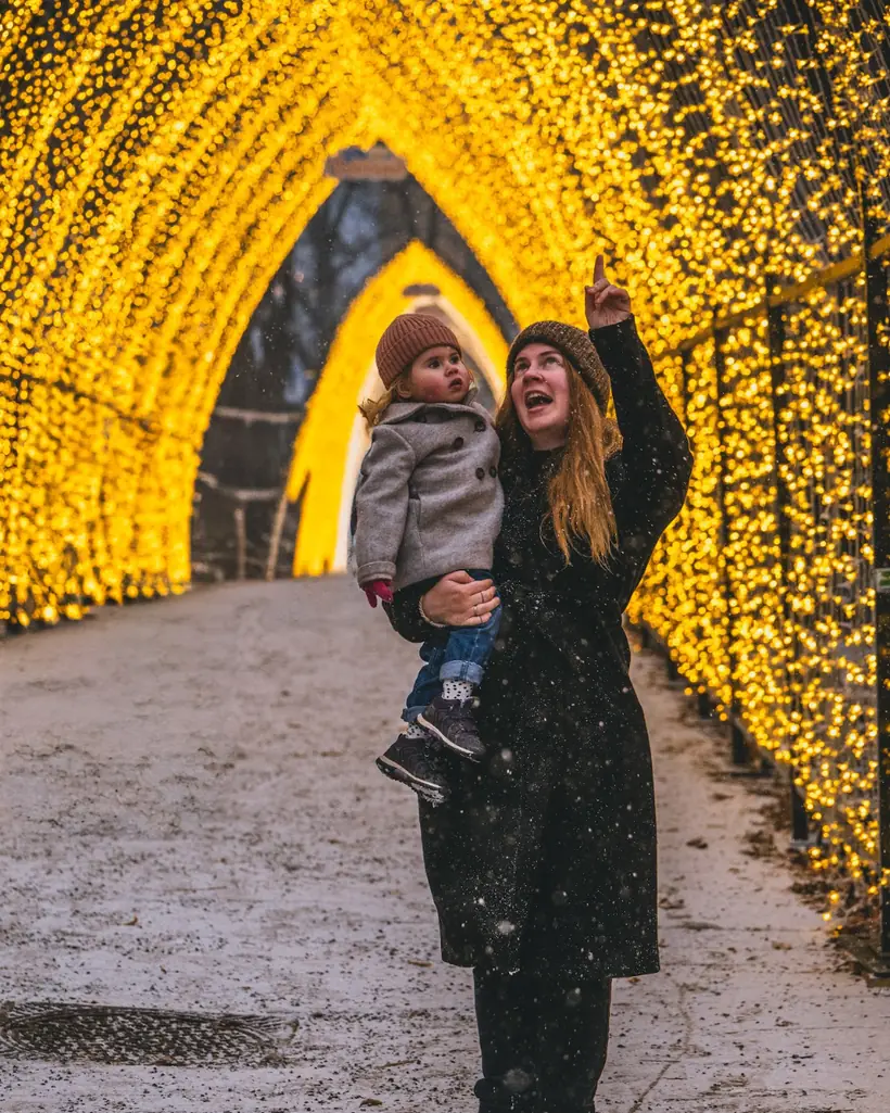 Christmas & winter
